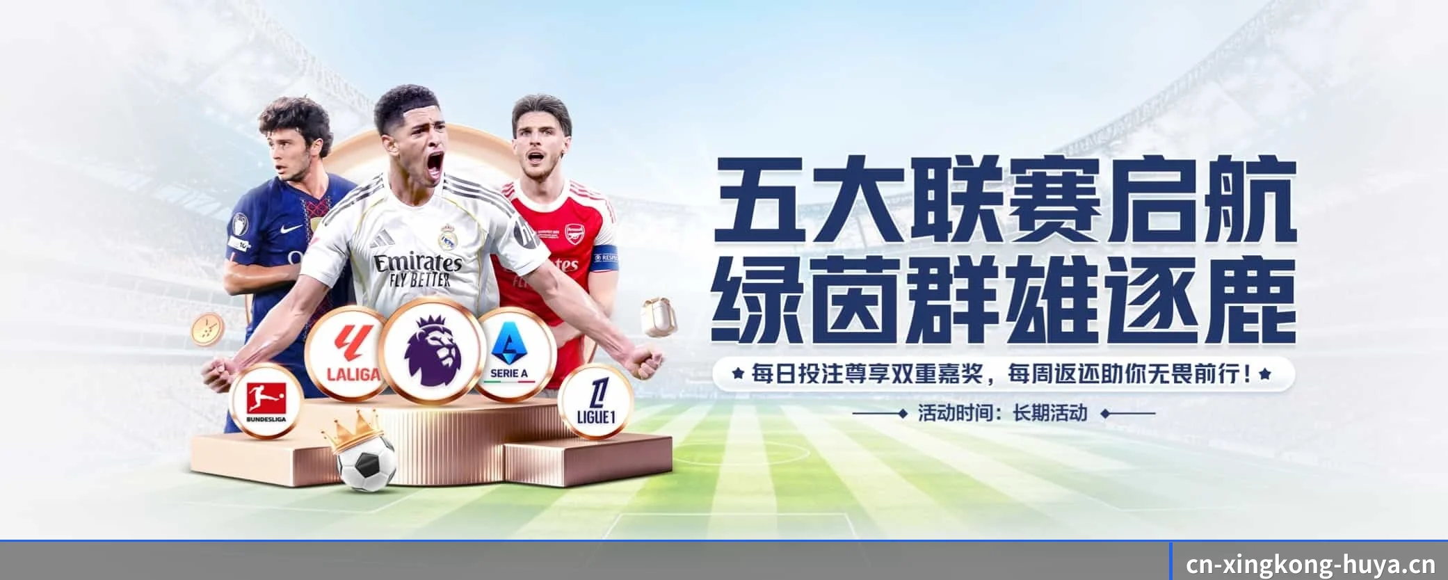 五大服务专区严密划分,信息结构一目了然